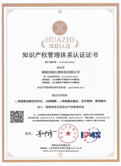 Dongxiao intellectual property standard 