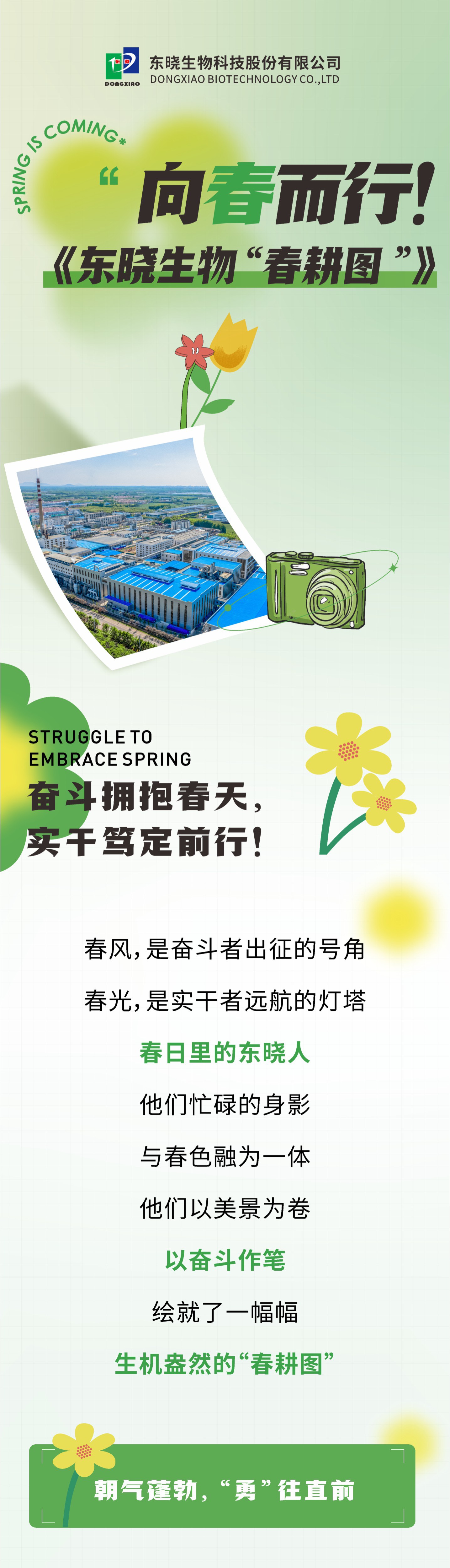 To the spring! Dongxiao Biology "Spring Ploughing Map"(图1)